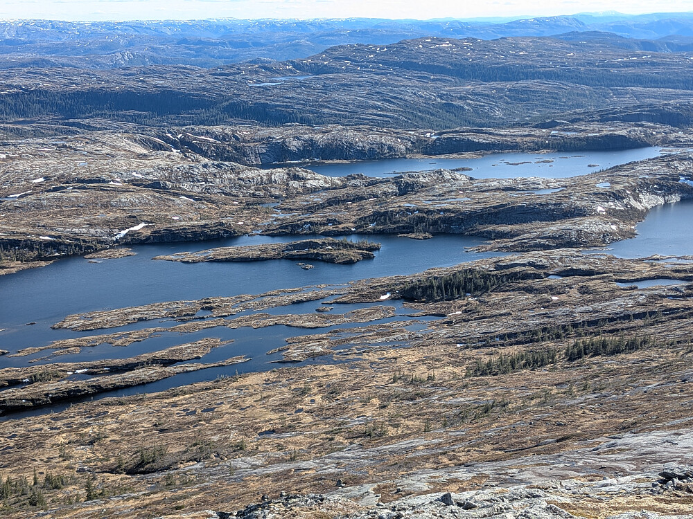 Skjoldavatnet
