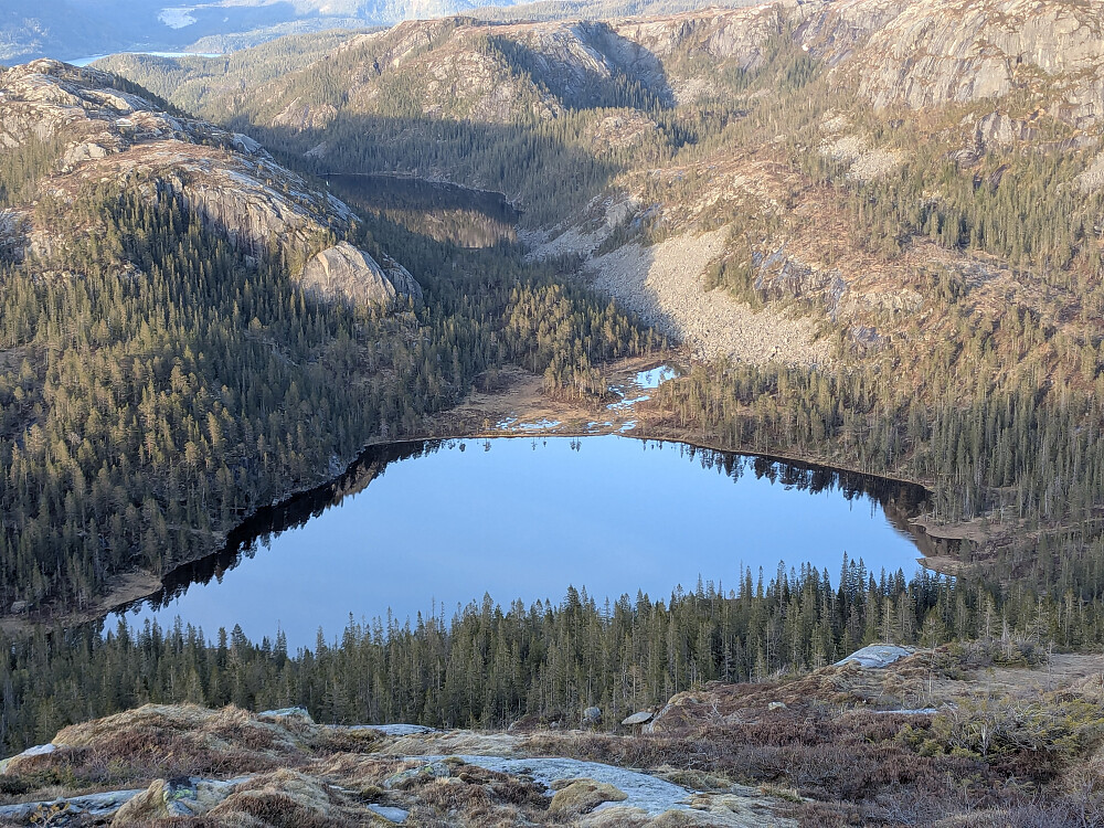 Svarttjønna