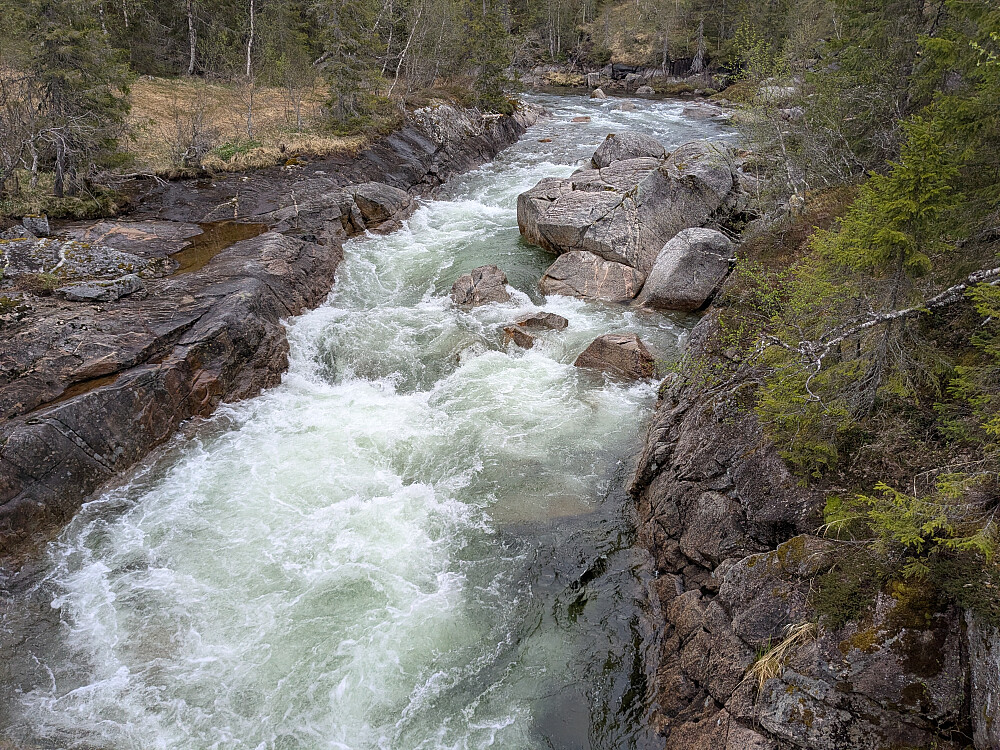 Lindsetåa