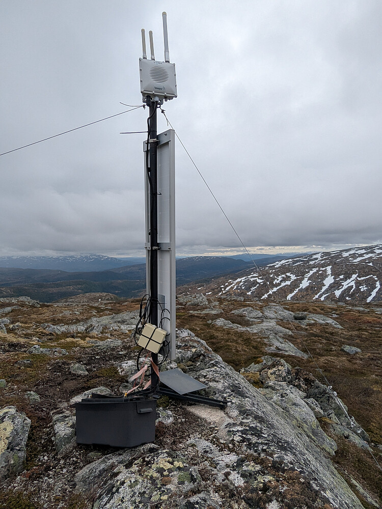 Noen telegreier