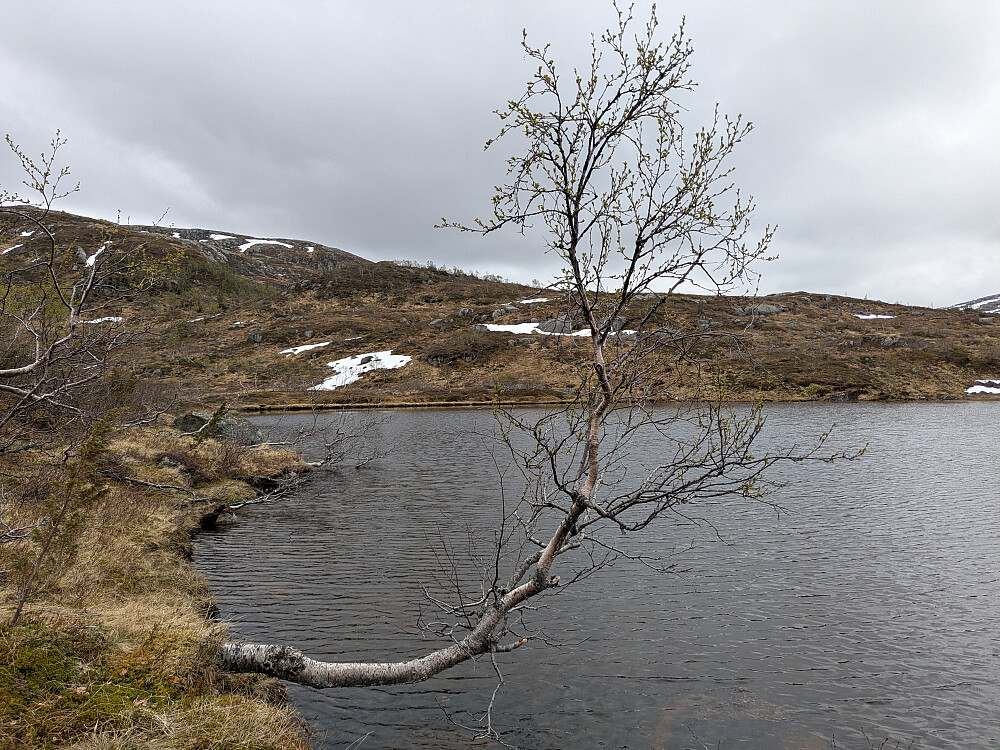 Ved Søre Snøådalstjønna