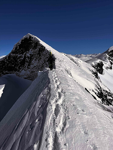 På ryggen mot Veslebjørn